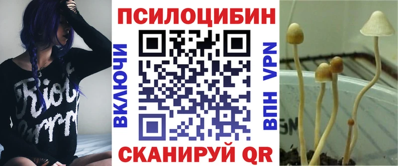 Псилоцибиновые грибы мухоморы  Шали 